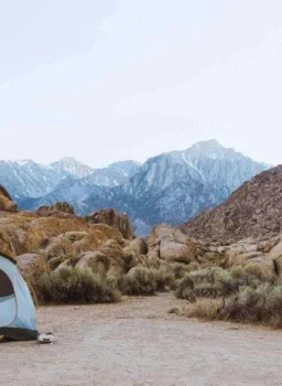 Camping in Chopta Meadows